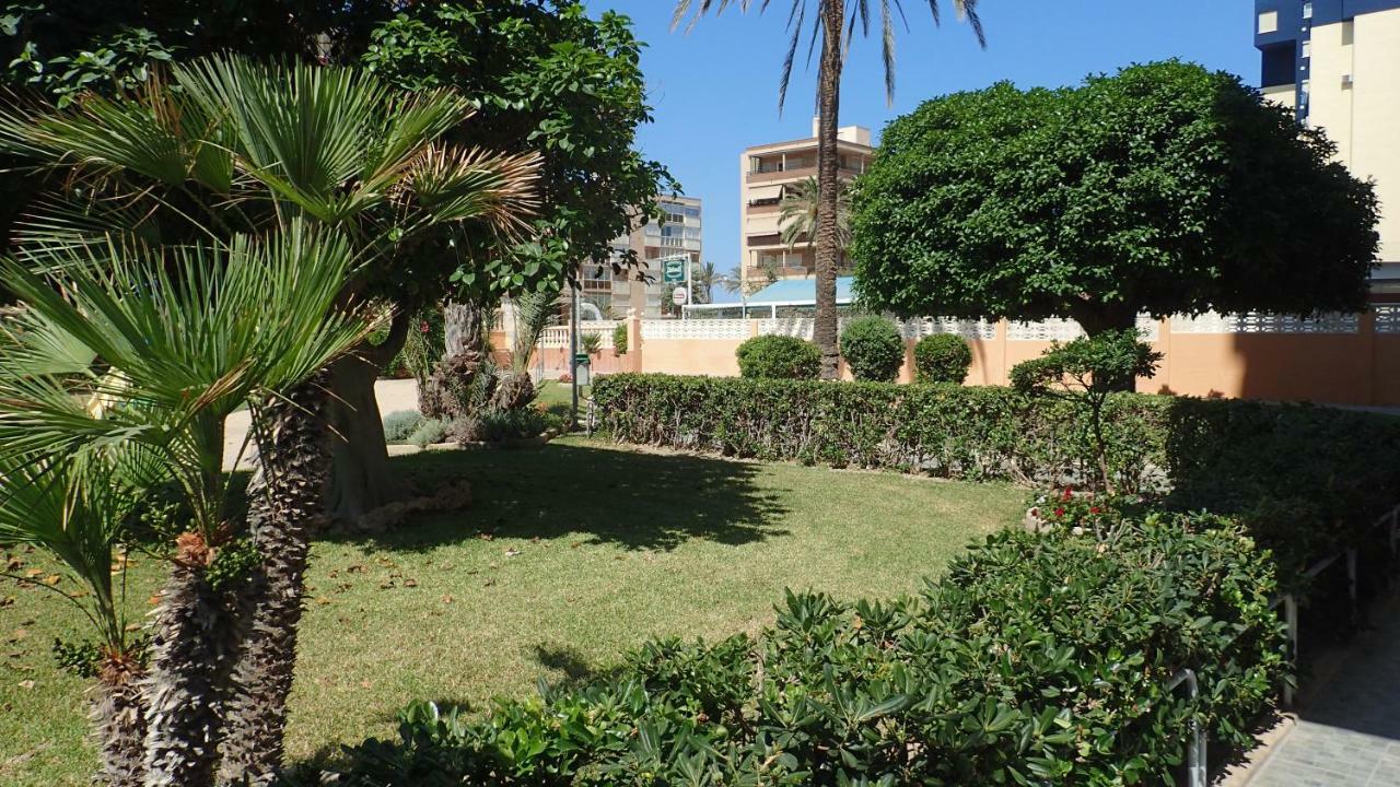 Tortuga Flat Daire Alicante Dış mekan fotoğraf