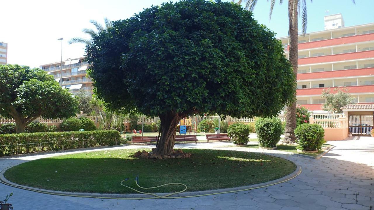 Tortuga Flat Daire Alicante Dış mekan fotoğraf