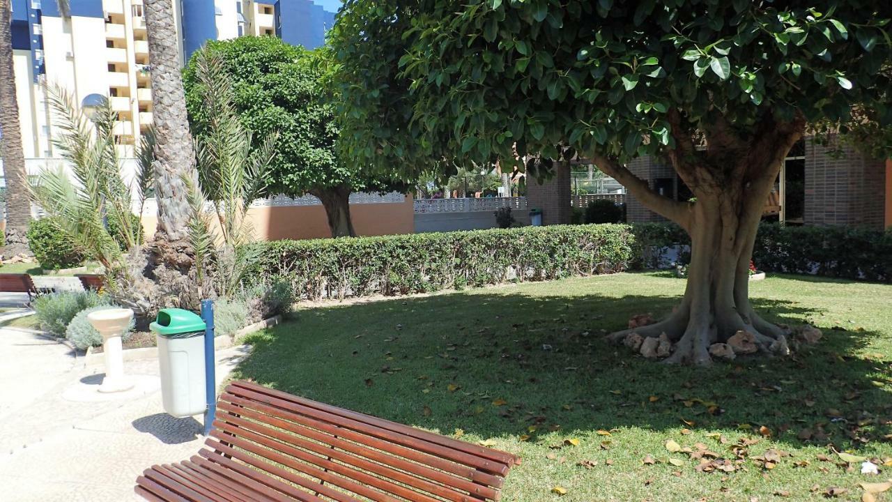 Tortuga Flat Daire Alicante Dış mekan fotoğraf